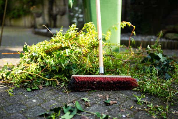 What Is Yard Waste And How Should You Get Rid Of It?